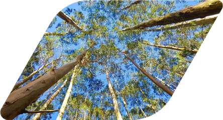 <strong>Nossos Produtos</strong><br>Sustentabilidade começa pela escolha do material.